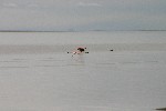 IMG_5620.jpg