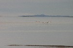 IMG_5621.jpg