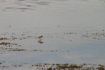 IMG_5622.jpg