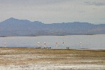 IMG_5626.jpg
