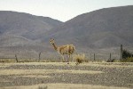 IMG_5633.jpg