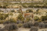 IMG_5634.jpg