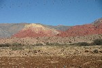 IMG_5653.jpg