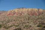 IMG_5654.jpg