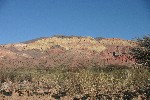 IMG_5655.jpg