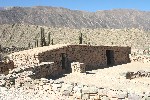 IMG_5659.jpg