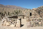 IMG_5666.jpg