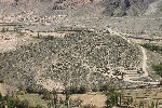IMG_5671.jpg