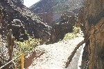 IMG_5675.jpg