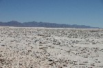 IMG_5684.jpg