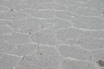 IMG_5685.jpg