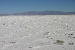 IMG_5686.jpg