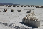 IMG_5694.jpg