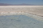 IMG_5699.jpg