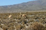 IMG_5703.jpg