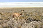 IMG_5705.jpg