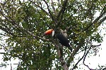 IMG_5717.jpg