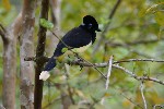 IMG_5737.jpg