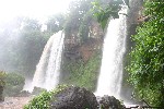 IMG_5738.jpg