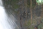 IMG_5749.jpg