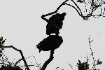 IMG_5753.jpg