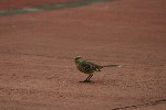 IMG_5755.jpg