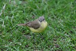 IMG_5759.jpg