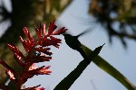 IMG_5805.jpg