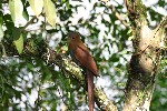 IMG_5809.jpg