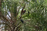 IMG_5820.jpg
