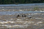 IMG_5823.jpg