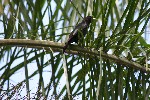 IMG_5831.jpg