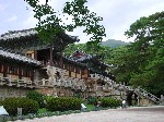 DSCN3042.jpg