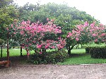 DSCN3064.jpg