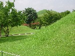 DSCN3066.jpg
