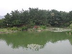 DSCN3084.jpg