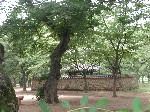 DSCN3091.jpg