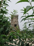 DSCN3096.jpg