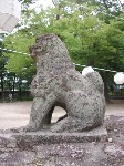 DSCN3106.jpg