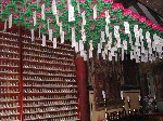 DSCN3113.jpg