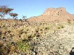 DSCN3493.jpg