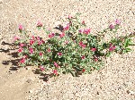 DSCN3532.jpg