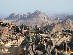 DSCN3613.jpg