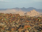 DSCN3618.jpg