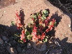 DSCN3637.jpg