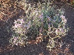DSCN3644.jpg