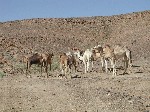 DSCN3676.jpg