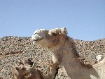 DSCN3678.jpg