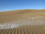 IMG_0326.JPG