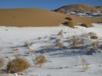IMG_0368.JPG